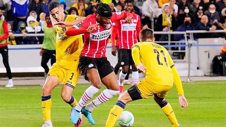 远古龙与大 远古龙与大