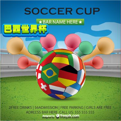 联赛亚军 联赛亚军