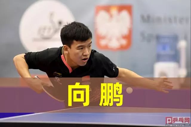 维塔尔在中 维塔尔在中